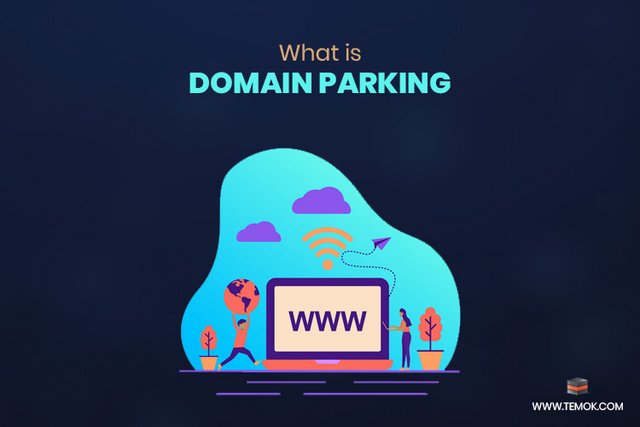 What_is_Domain_Parking_and_Domain_Life_Cycle_in_the_Digital_World.jpg